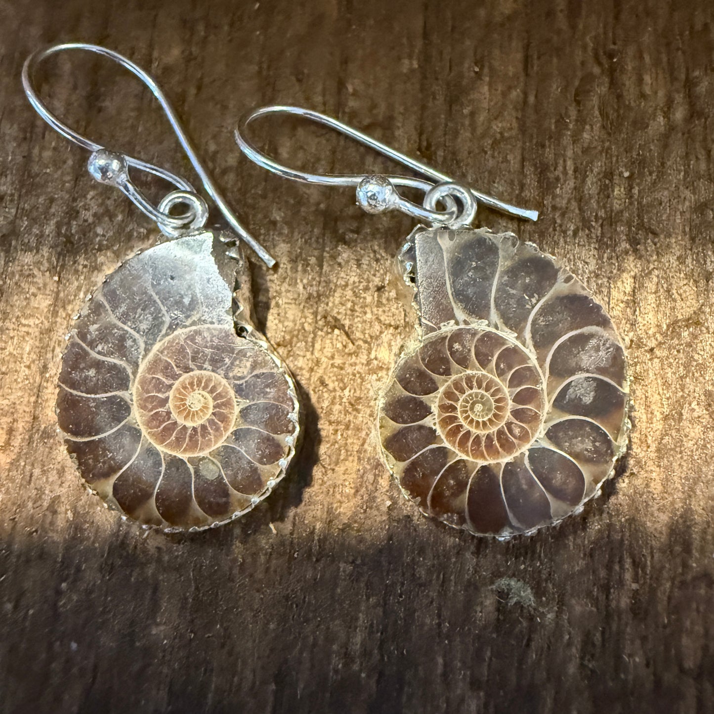 Brown Snail Drop Wire Earrings Sterling Silver Jewelry