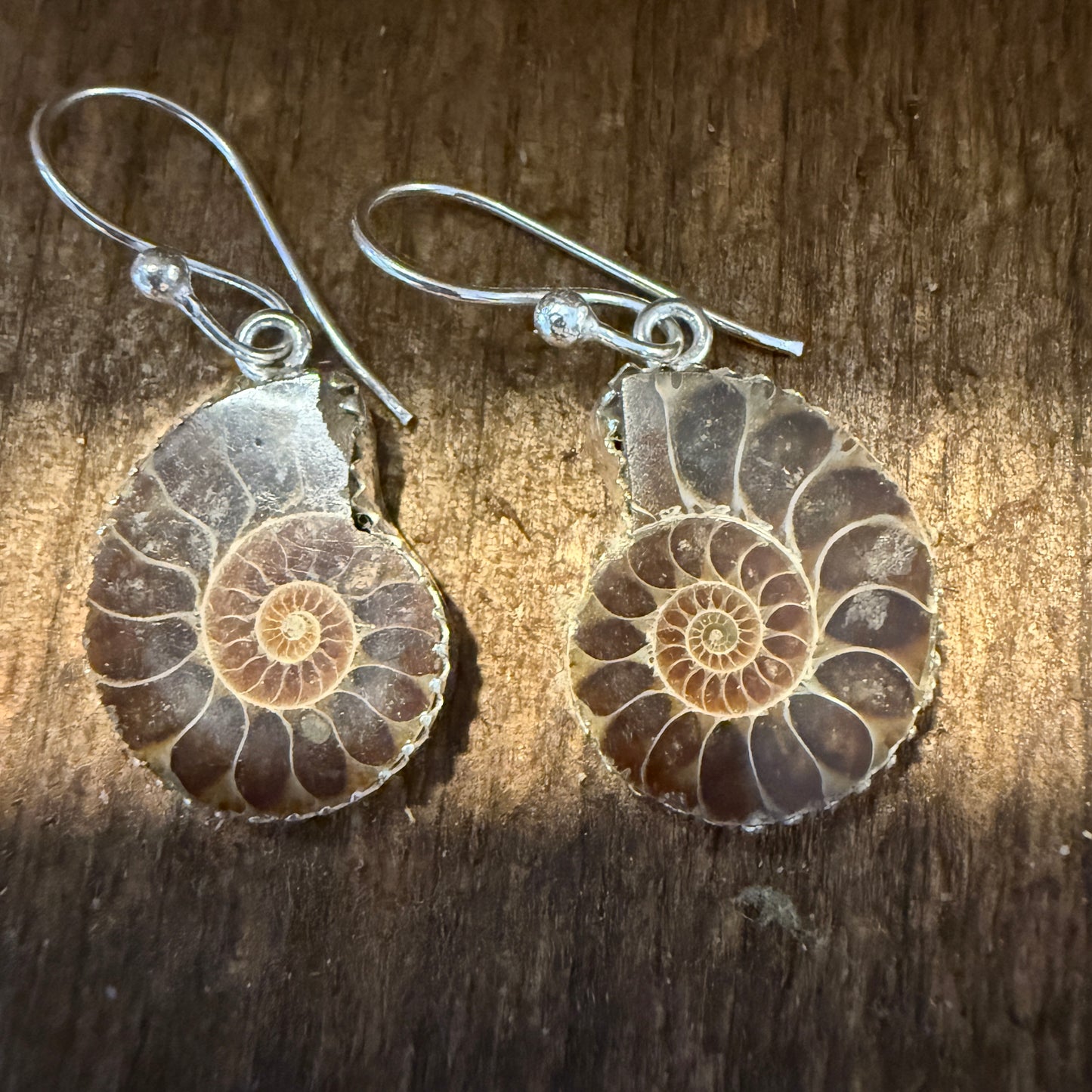 Brown Snail Drop Wire Earrings Sterling Silver Jewelry