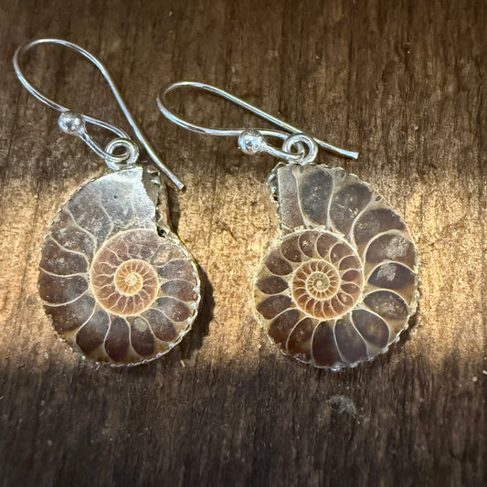 Brown Snail Drop Wire Earrings Sterling Silver Jewelry