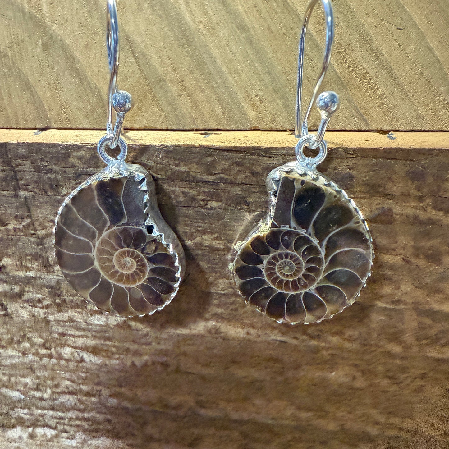 Brown Snail Drop Wire Earrings Sterling Silver Jewelry
