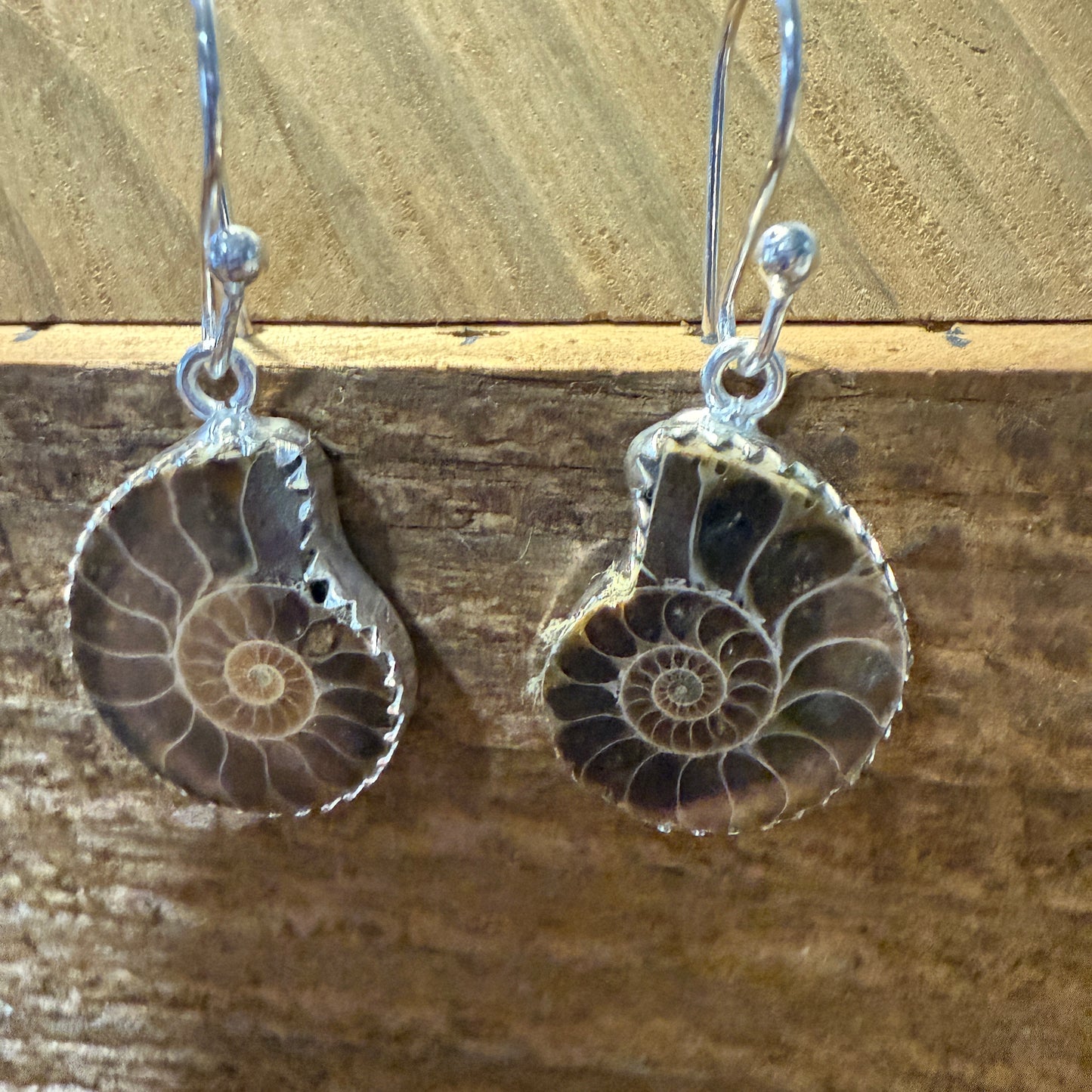 Brown Snail Drop Wire Earrings Sterling Silver Jewelry