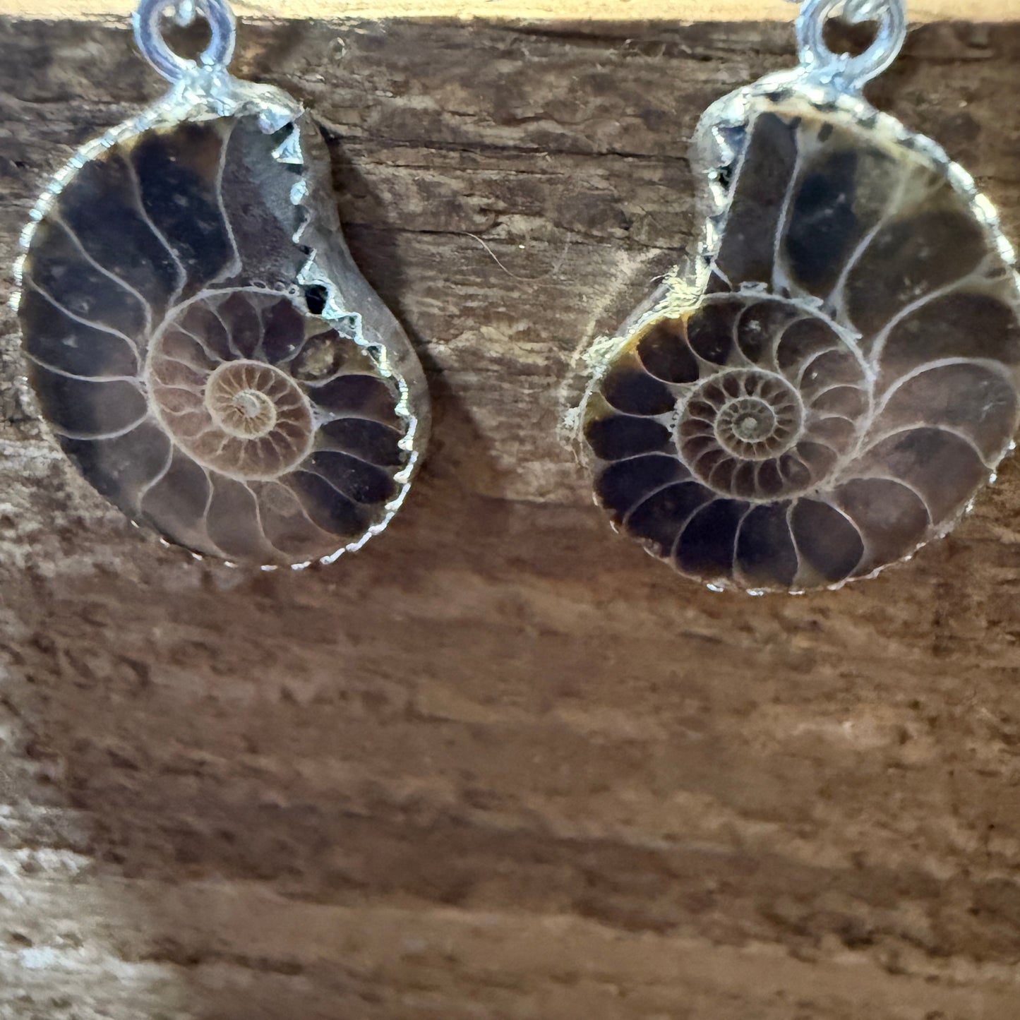 Brown Snail Drop Wire Earrings Sterling Silver Jewelry