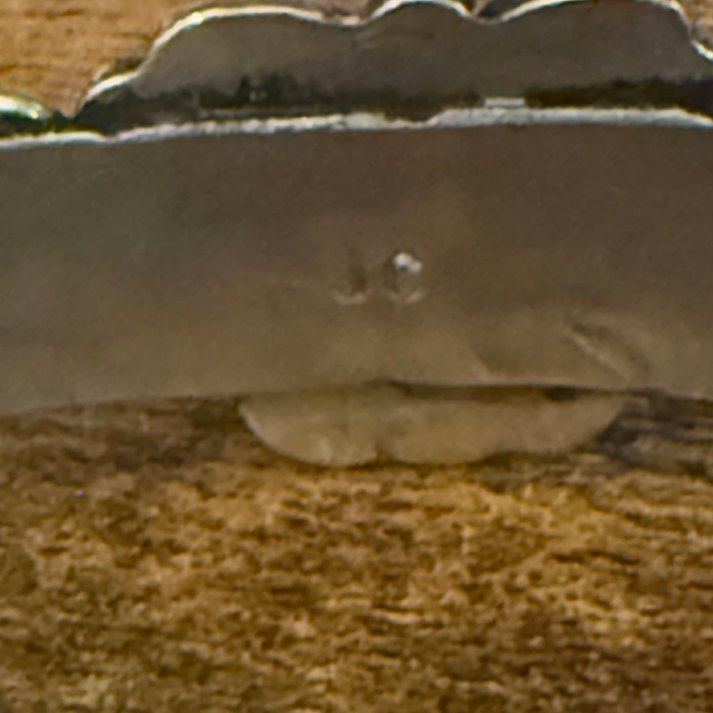 Navajo Apple Coral Cuff Bracelet Signed Cleveleland Nickel Silver Adjustable